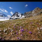 Seebergsee