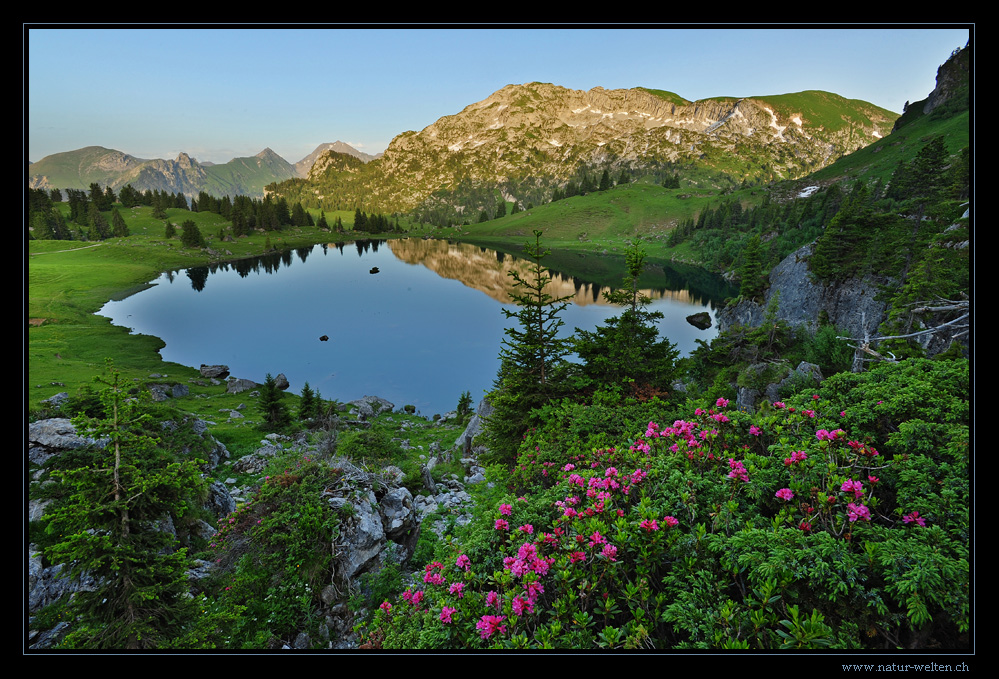 Seebergsee II