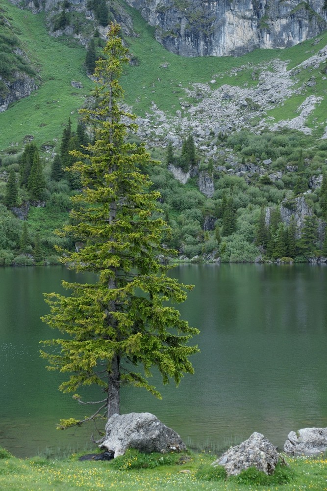 Seebergsee im Diemtigtal