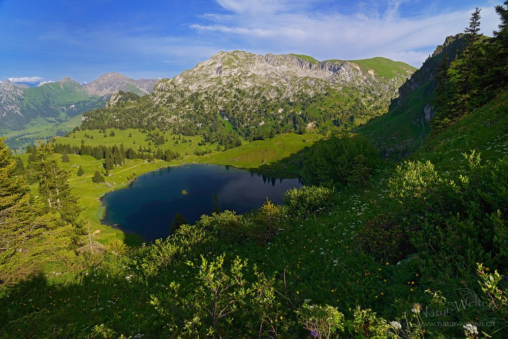 Seebergsee von oben