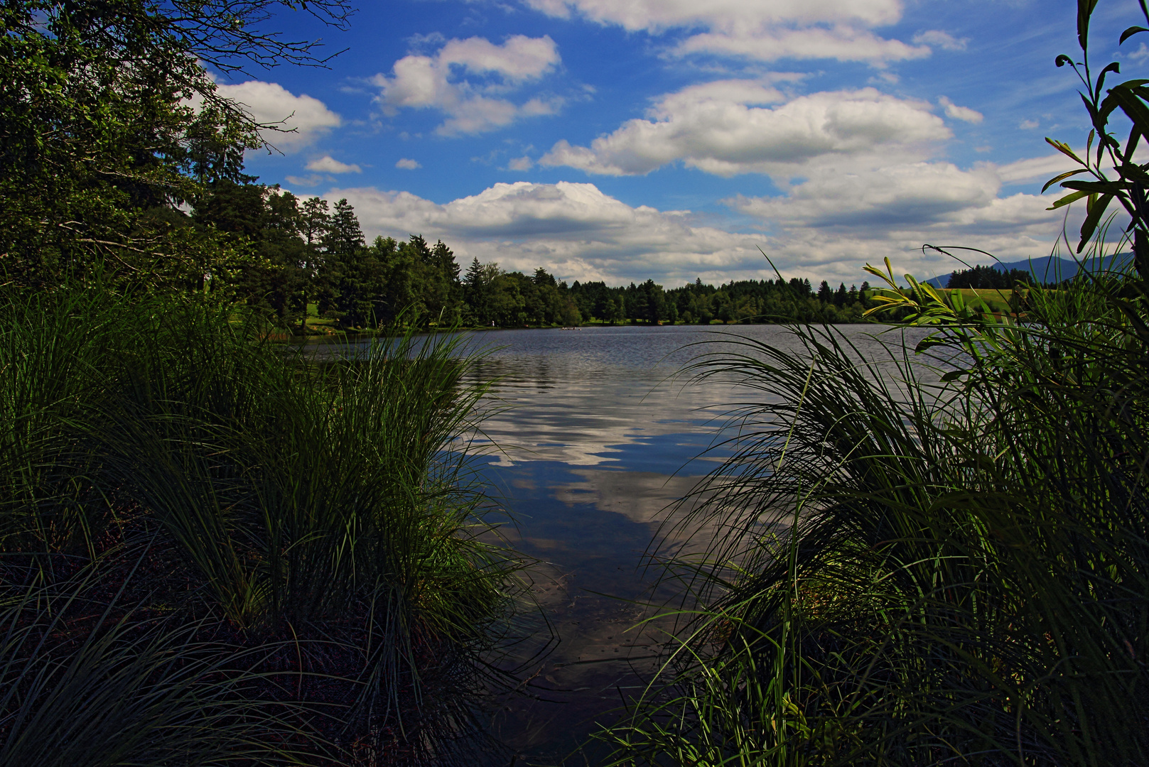 Seeblick