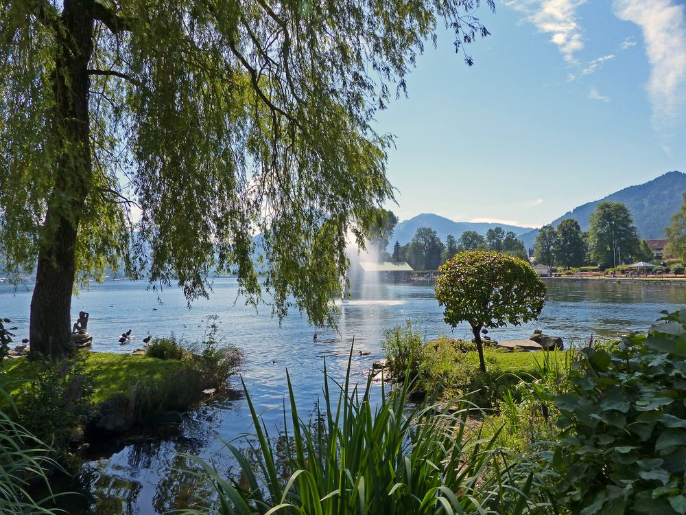 Seeblick Foto & Bild deutschland, europe, bayern Bilder auf