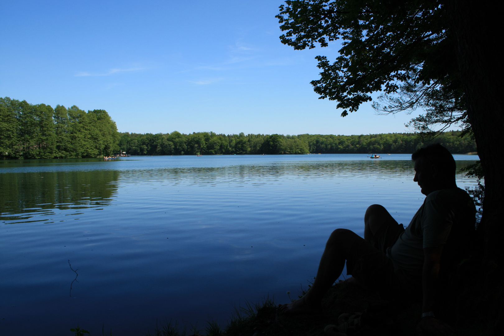 Seeblick