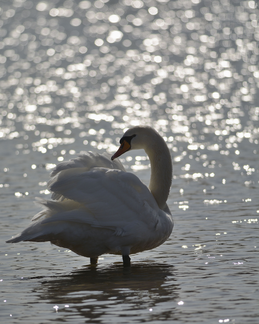 Seeblick