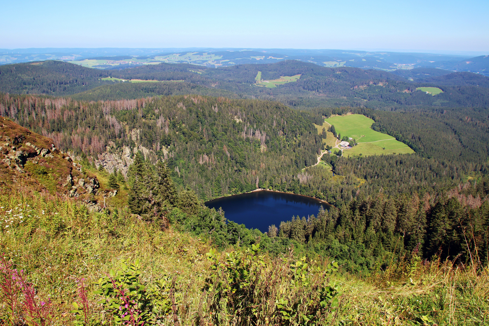 Seeblick