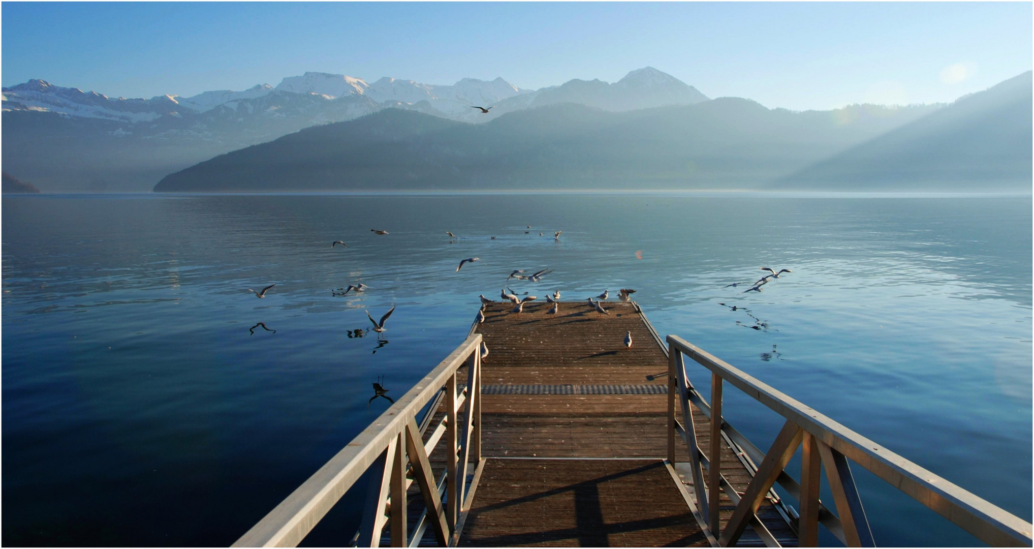 seeblick Foto & Bild seenland schweiz Bilder auf