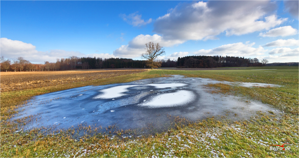 Seeblick