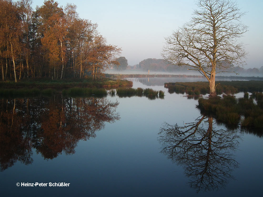 Seeblick am "de Witt See" bei Leuth am Niederrhein