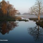 Seeblick am "de Witt See" bei Leuth am Niederrhein