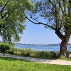 Seeblick - Bad Wiessee- Tegernsee