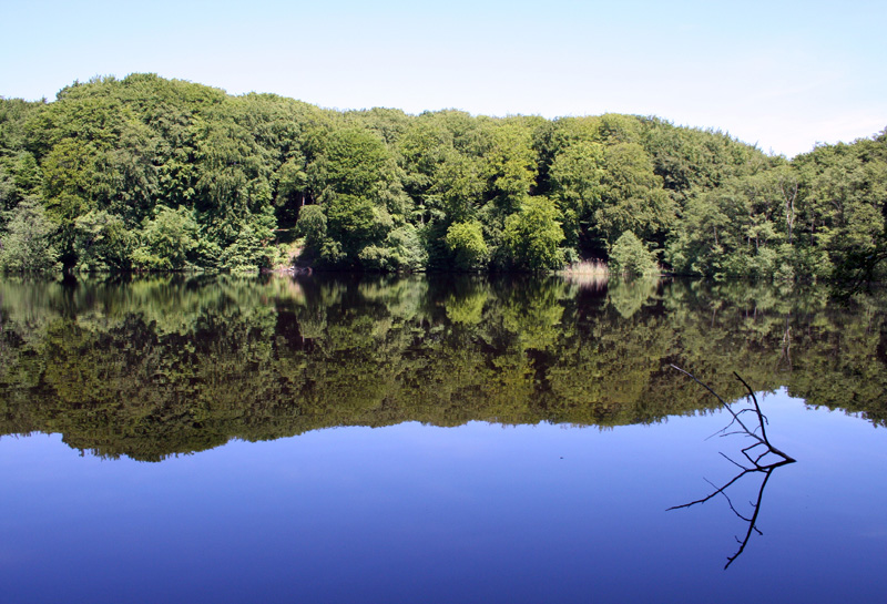 Seeblick