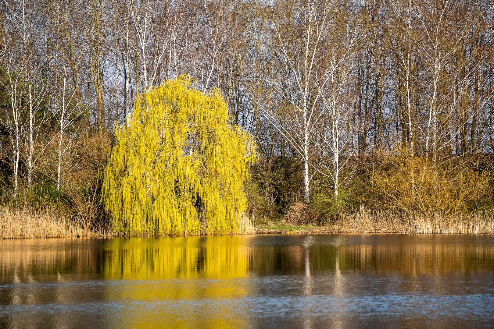 Seeblick