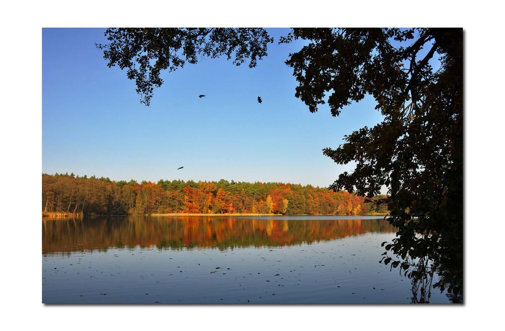 Seeblick im Herbst