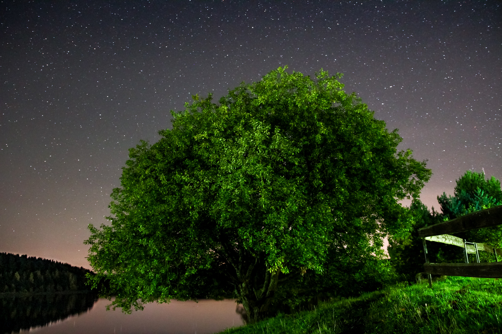 Seeblick unterm Sternenhimmel