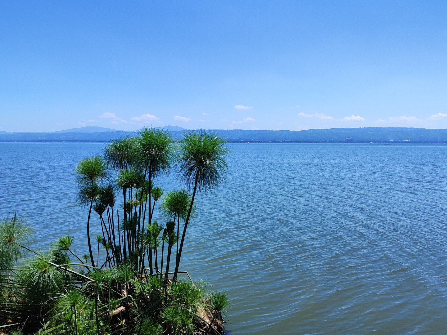 Seeblick Victoriasee Kenia