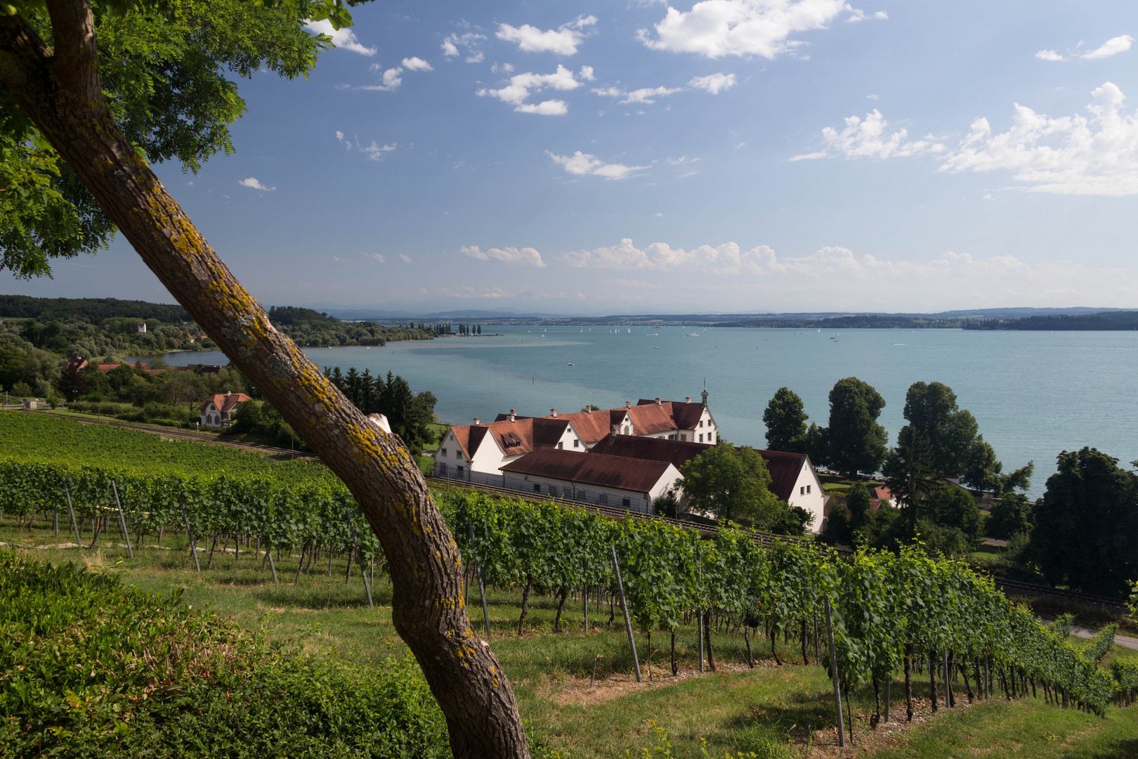 Seeblick von der Birnau