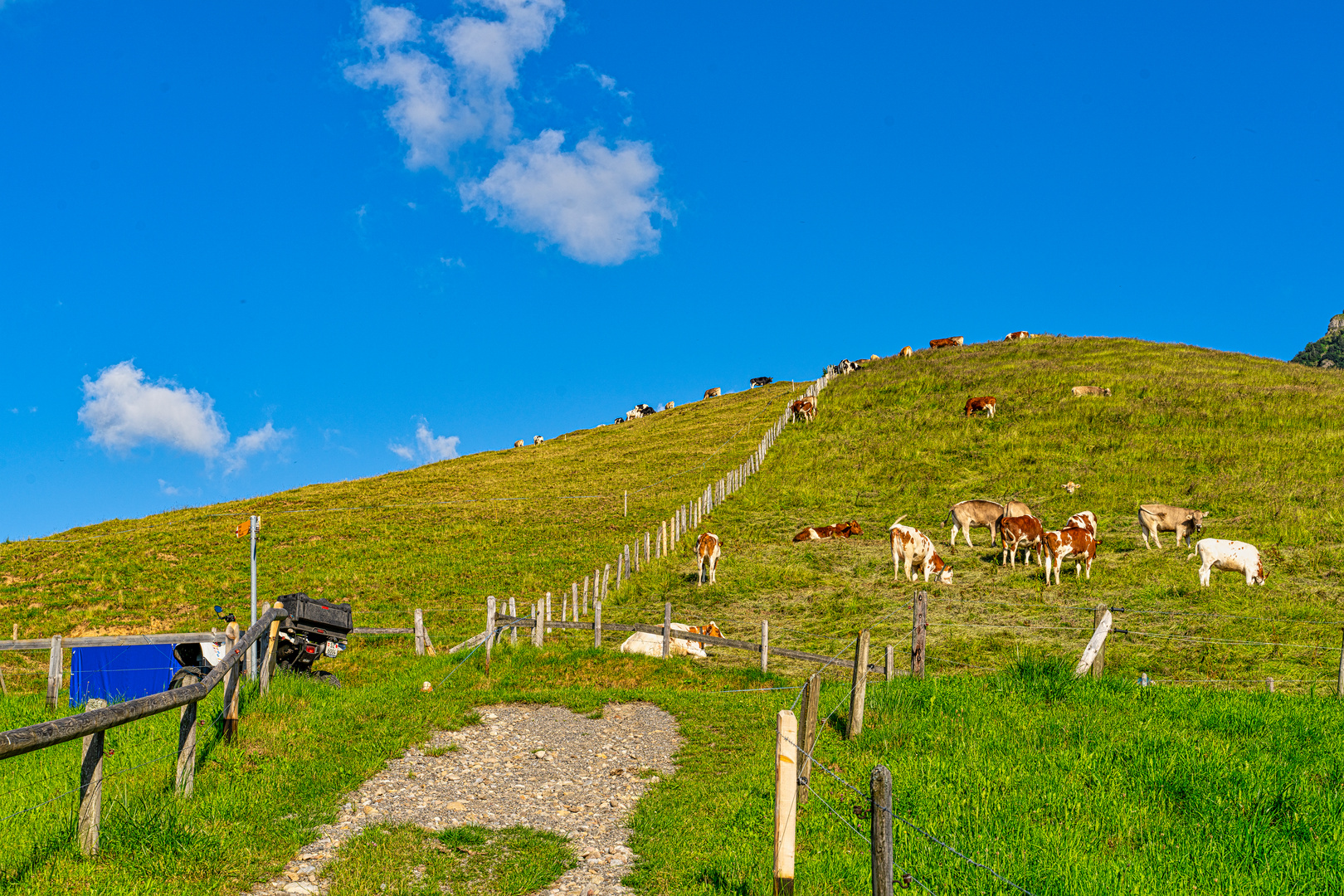 Seebodenalp Bergidylle