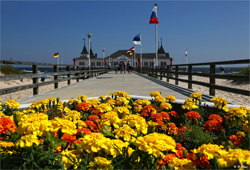 Seebrücke Ahlbeck