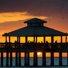 Seebrücke am Fort Meyers Beach