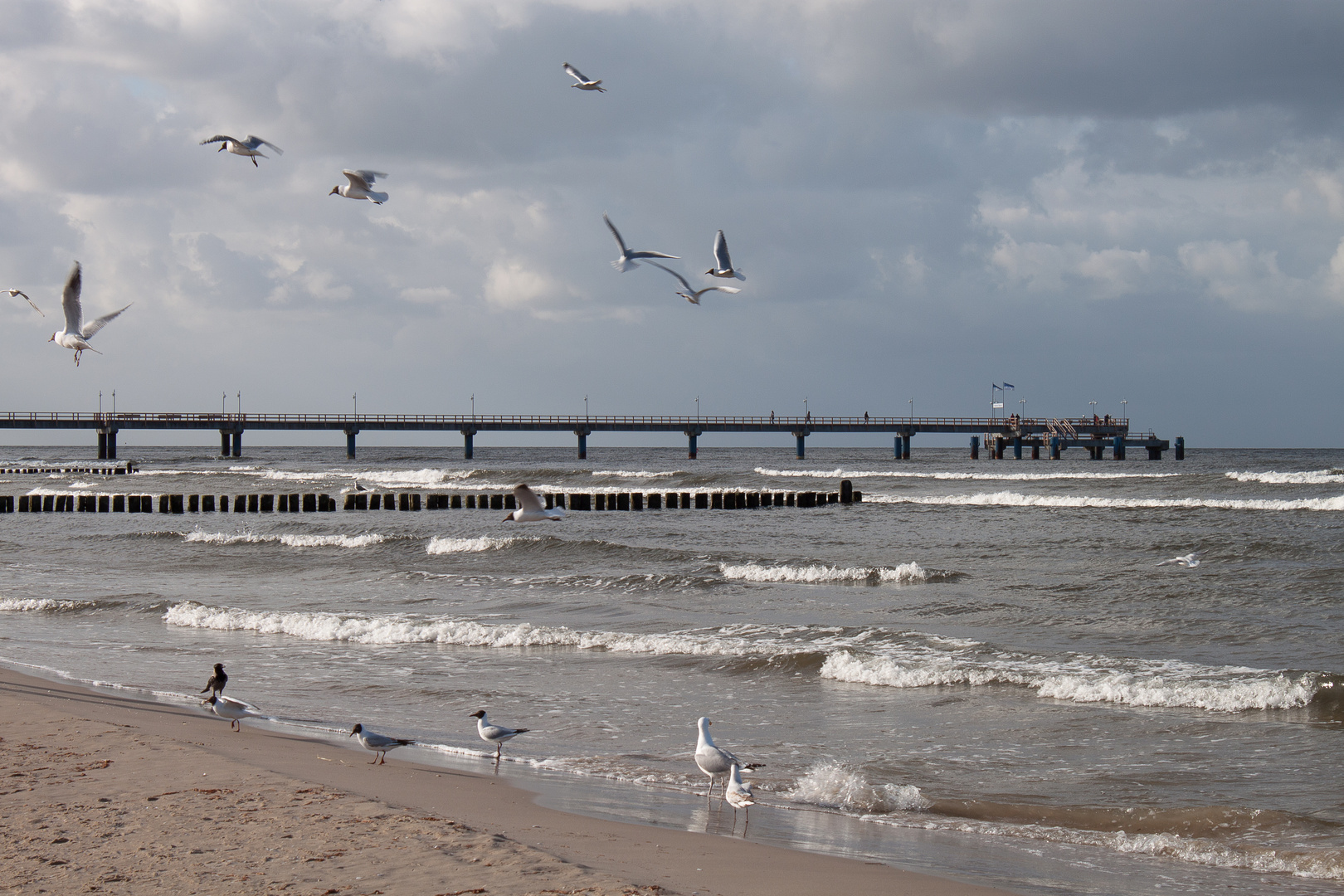 Seebrücke Bansin