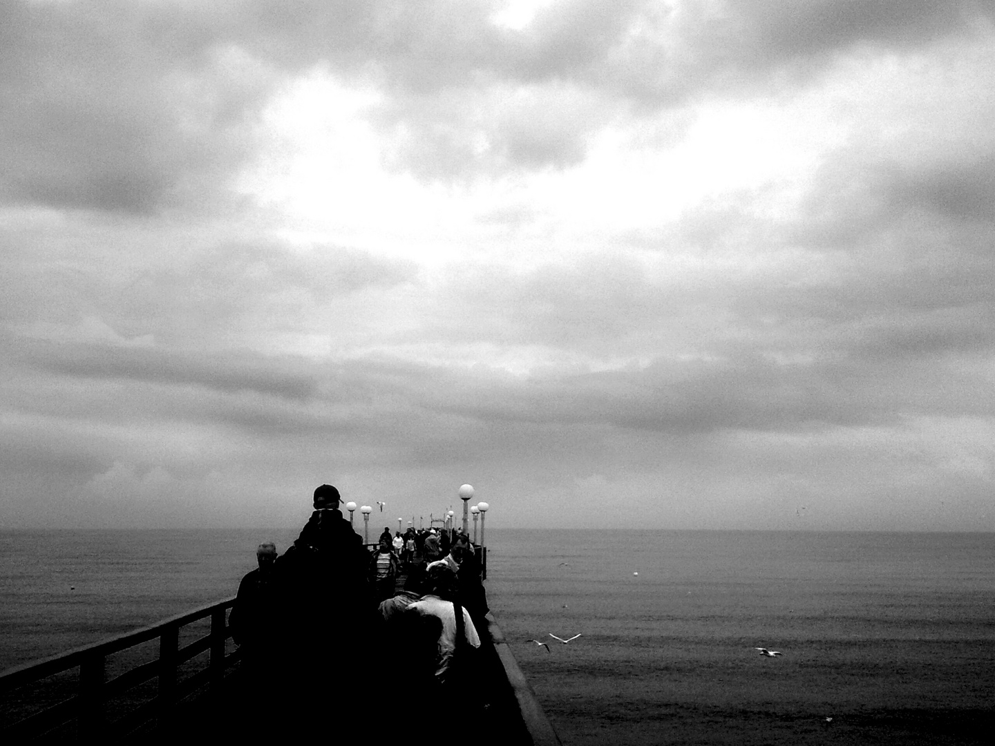 Seebrücke Binz Foto & Bild | deutschland, europe ...