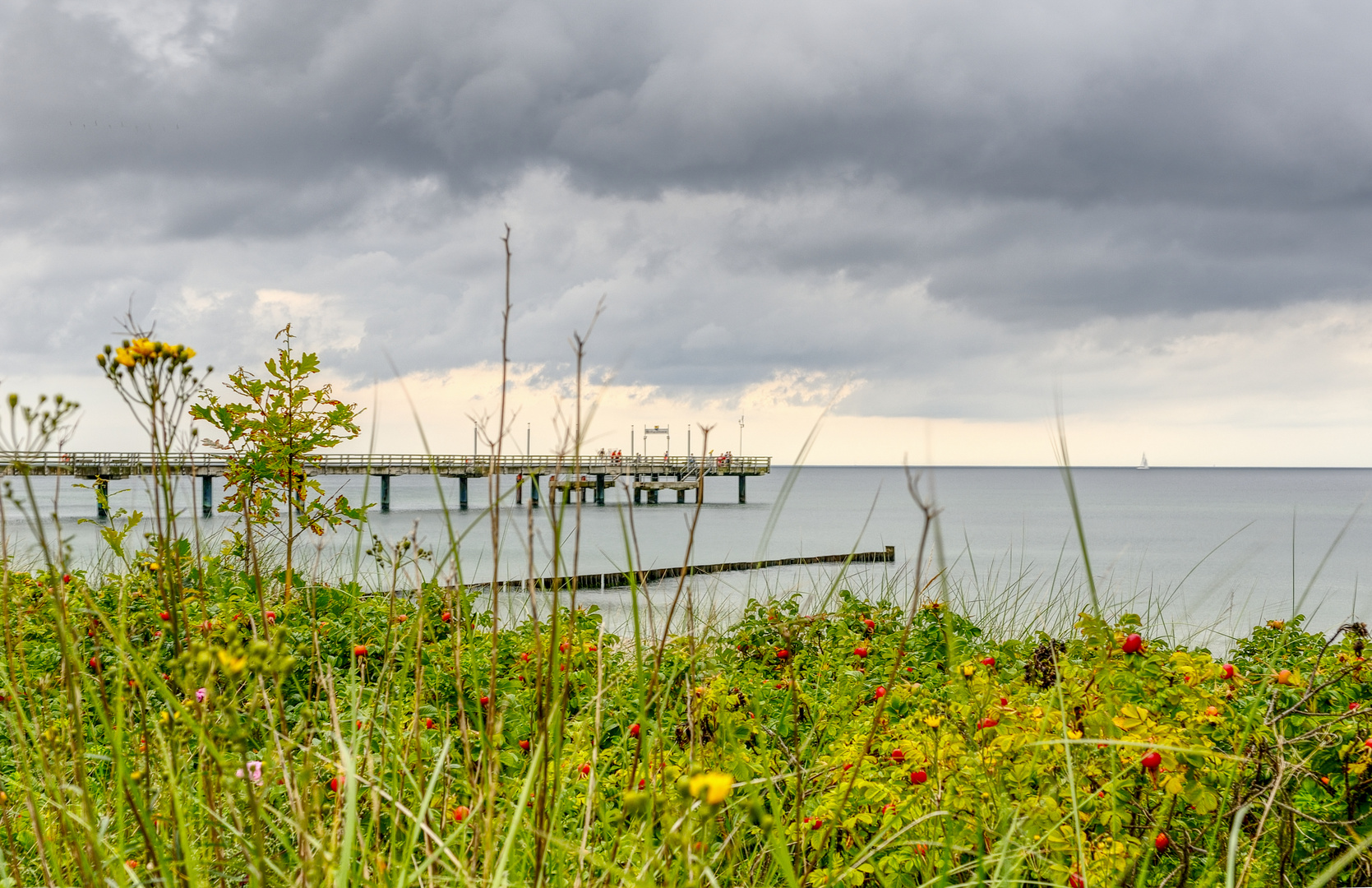 Seebrücke Heiligendamm