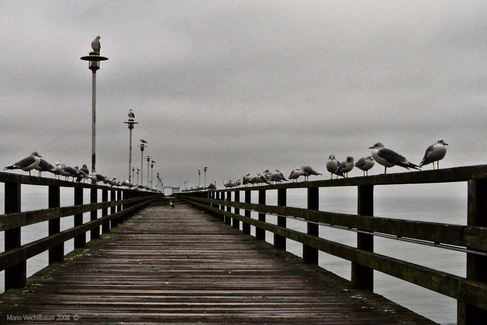 Seebrücke in Ahlbeck