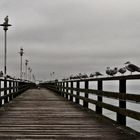 Seebrücke in Ahlbeck