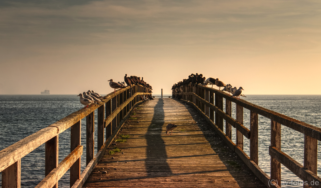 Seebrücke in Sassnitz auf der Insel Rügen