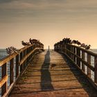 Seebrücke in Sassnitz auf der Insel Rügen