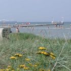 Seebrücke in Stein (Ostsee) ausgangs der Kieler Förde I