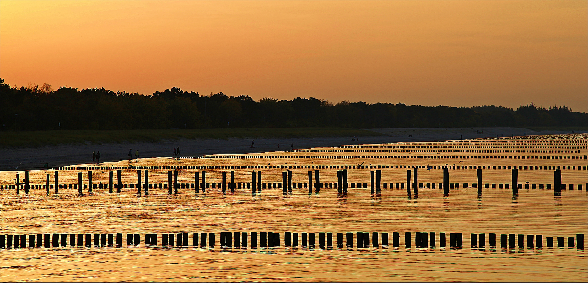 ***Seebrücke in Zingst***