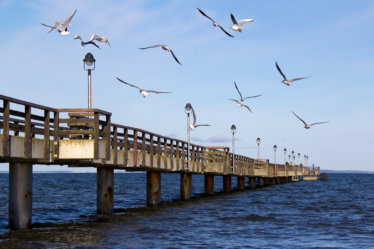 Seebrücke Lubmin 3