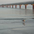 Seebrücke Ostsee