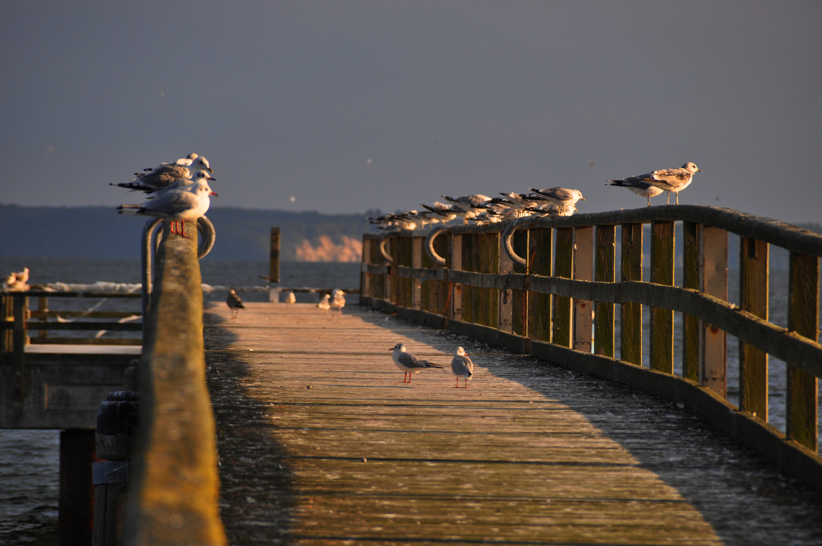 Seebrücke Sassnitz............