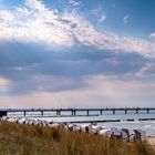 Seebrücke Zingst