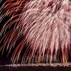 Seebrückenfest in Boltenhagen-"Meine Mittwochsblume"