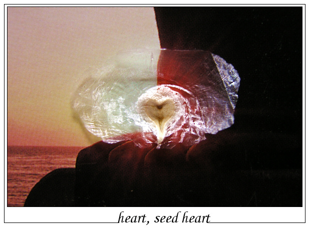 Seed-Heart