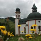 Seefeld : un incanto nella Natura ( da Catturando ricordi)