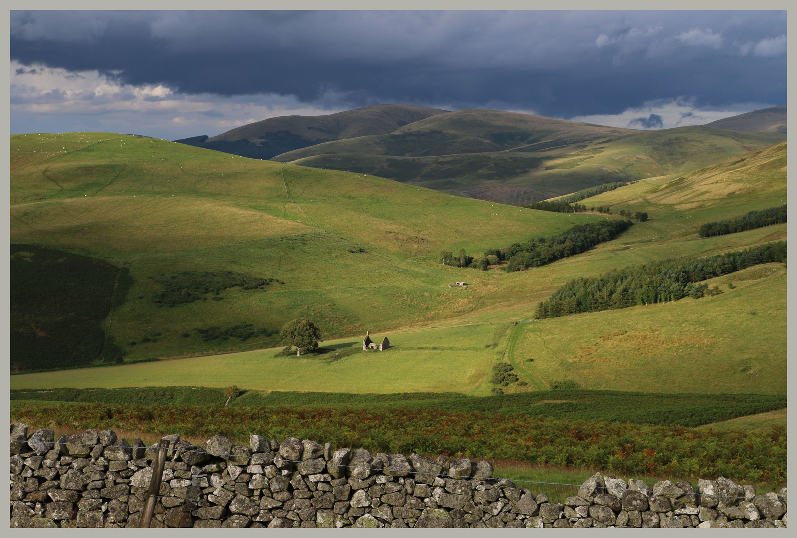 Seefew cottage near Hownam Cheviot Hills