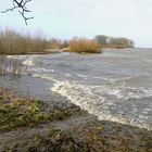 Seegang auf der Elbe