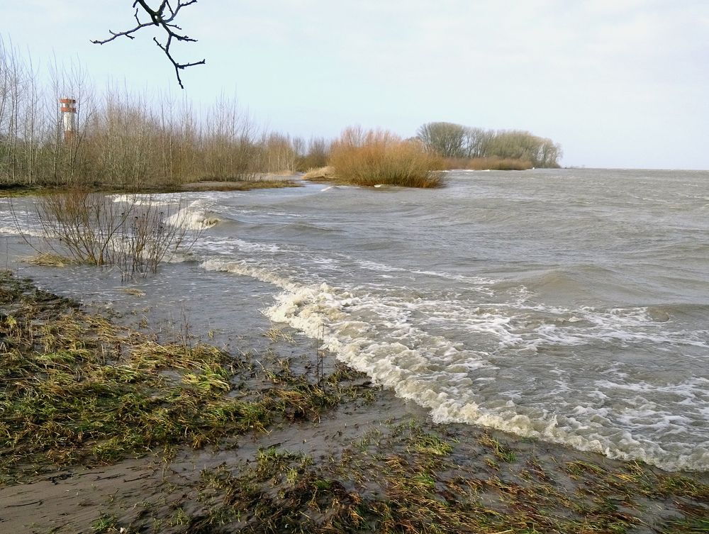 Seegang auf der Elbe