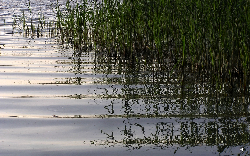 SeeGeflüster ...