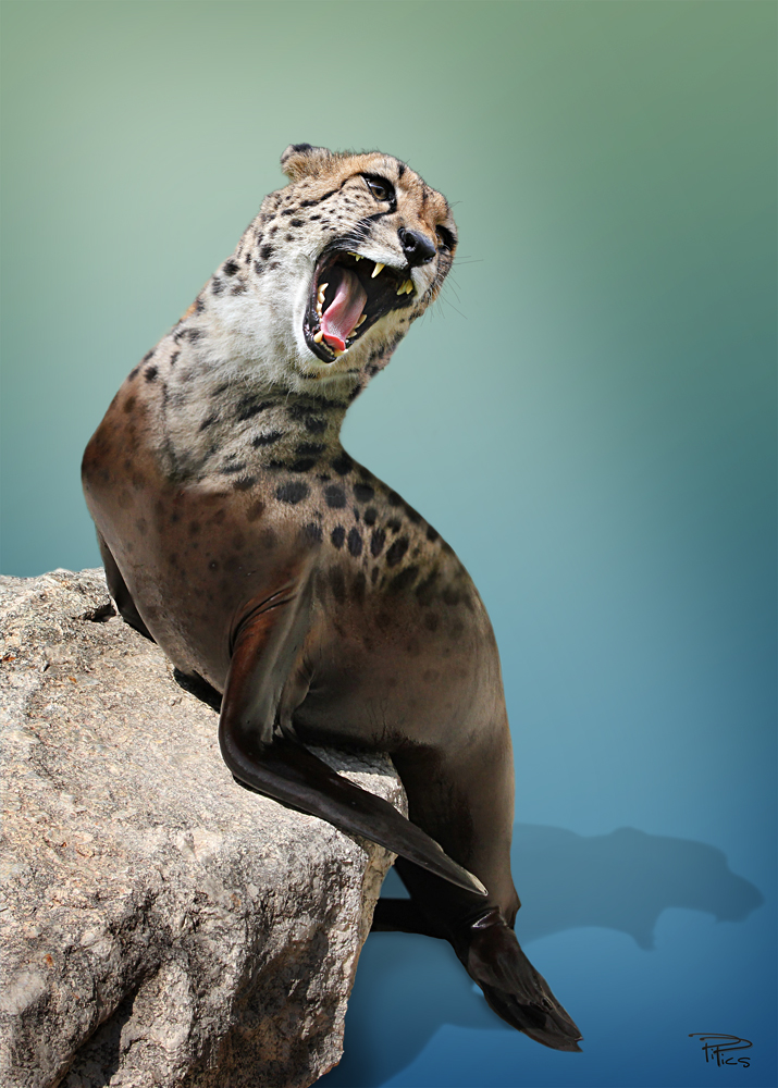 Seegepard