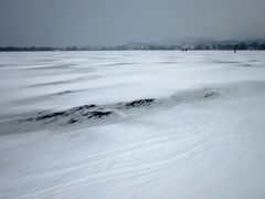 Seegfrörni Pfäffikersee