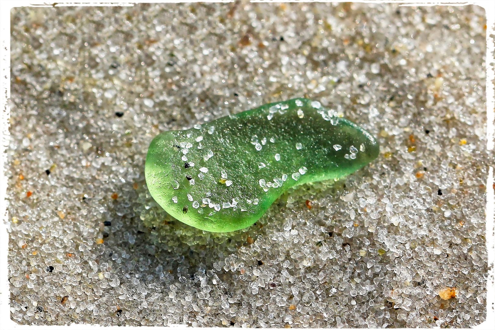 Seeglas in seinem Habitat IV - sea glass in its habitat IV  