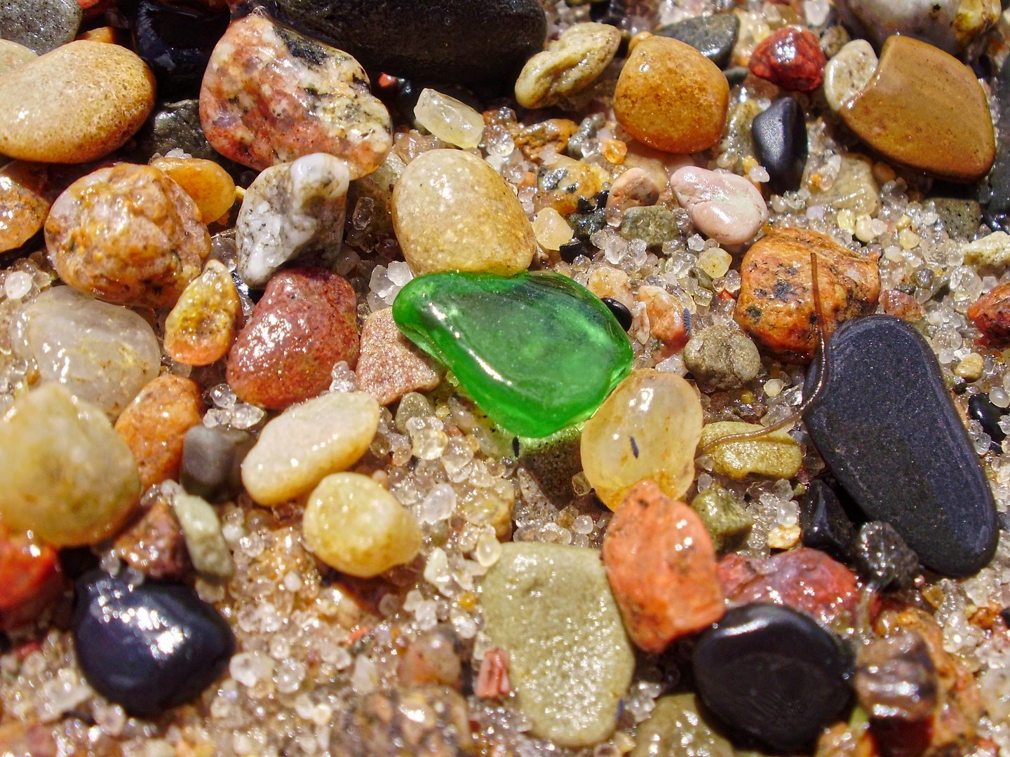 Seeglas in seinem Habitat  -  sea glass in its habitat