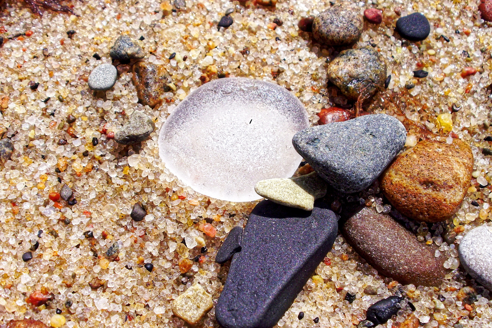 Seeglas in seinem Habitat VI - sea glass in its habitat VI