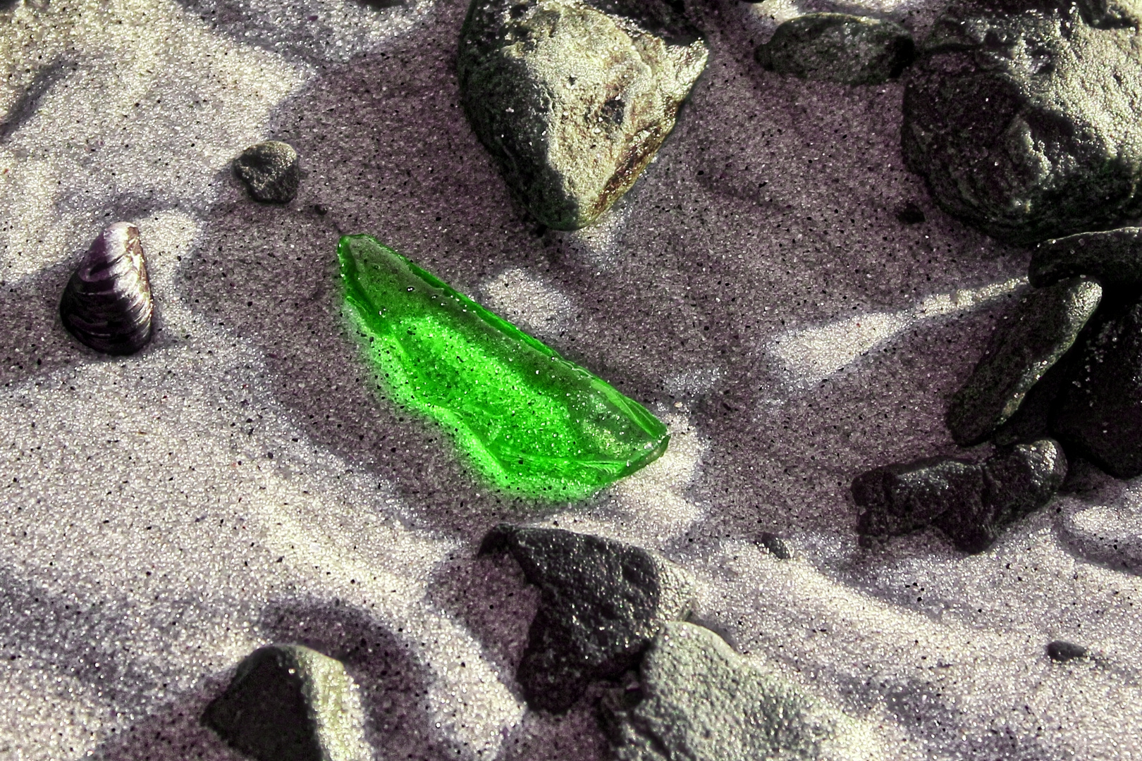 Seeglas in seinem Habitat VII - sea glass in its habitat VII