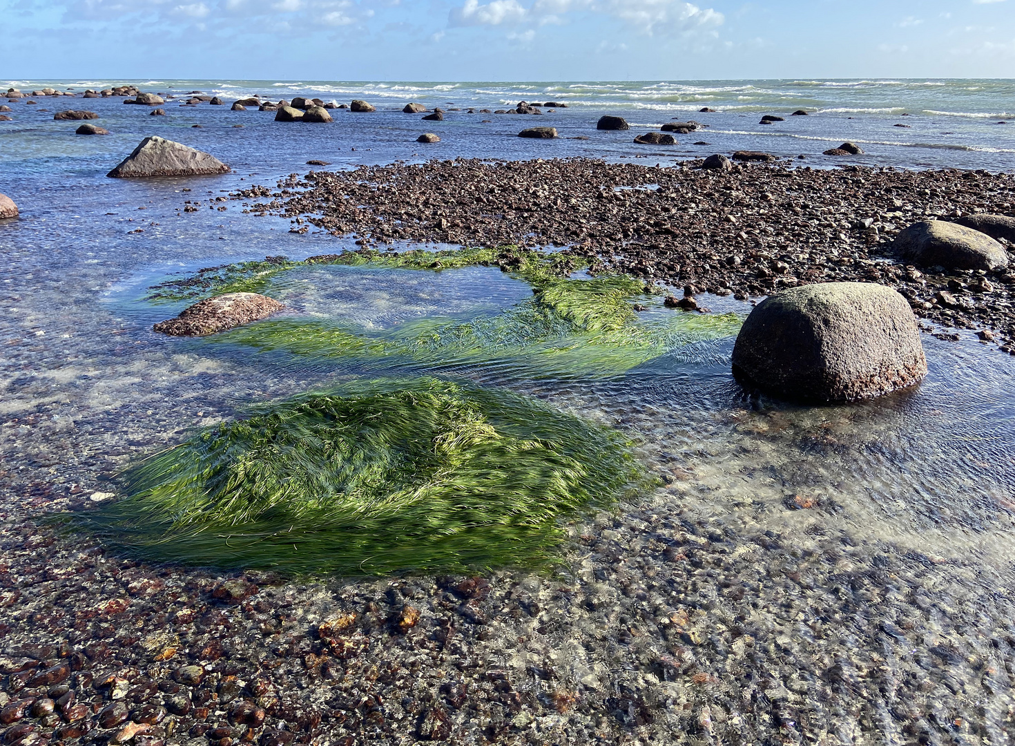 Seegras auf Moen Island